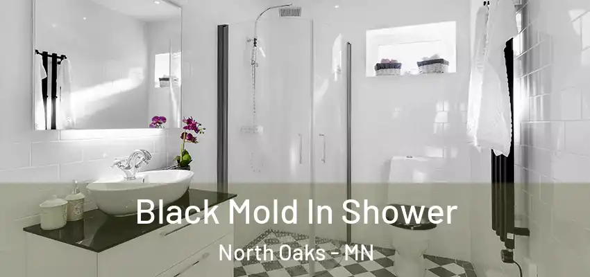  Black Mold In Shower North Oaks - MN