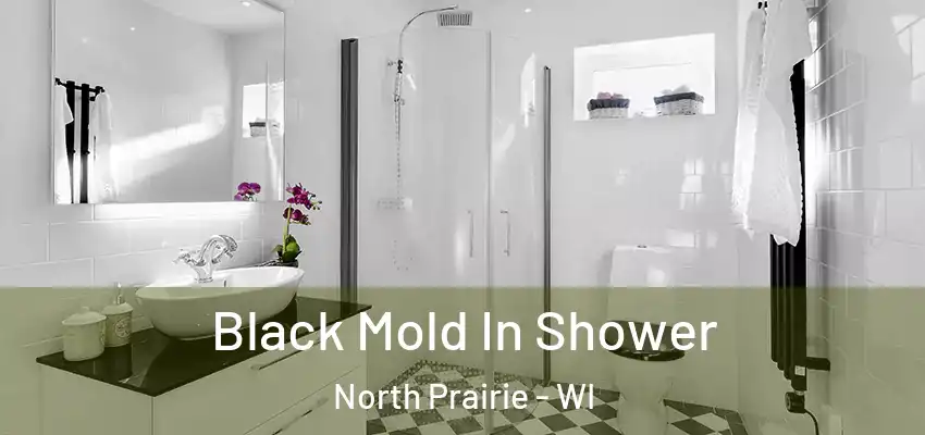  Black Mold In Shower North Prairie - WI