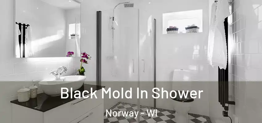  Black Mold In Shower Norway - WI