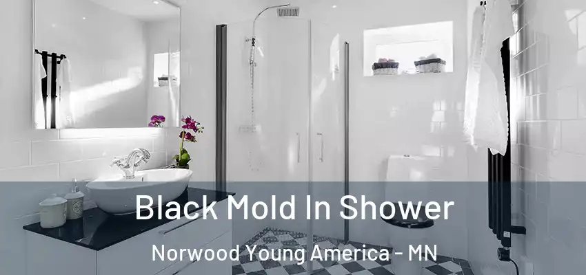  Black Mold In Shower Norwood Young America - MN