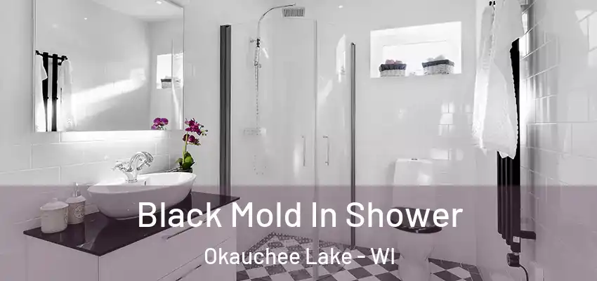  Black Mold In Shower Okauchee Lake - WI