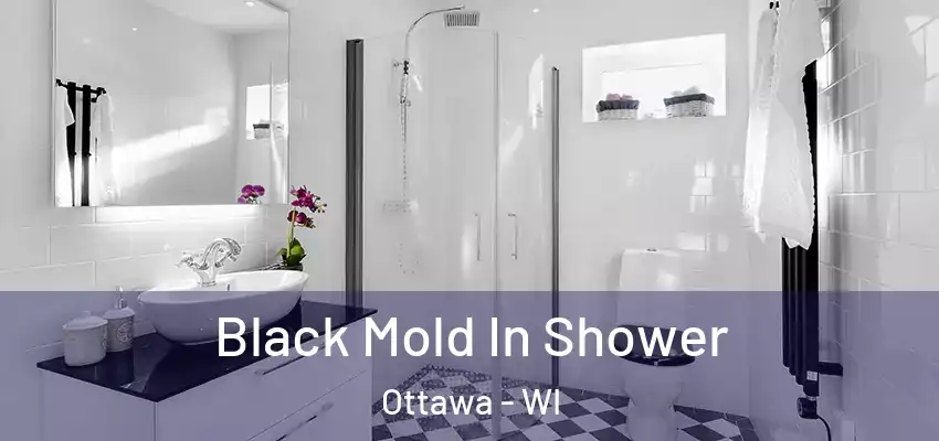  Black Mold In Shower Ottawa - WI