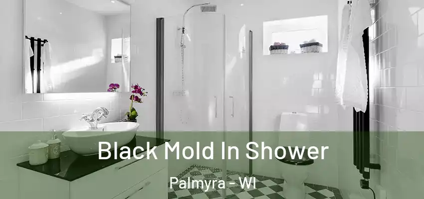  Black Mold In Shower Palmyra - WI