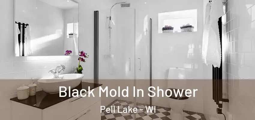  Black Mold In Shower Pell Lake - WI