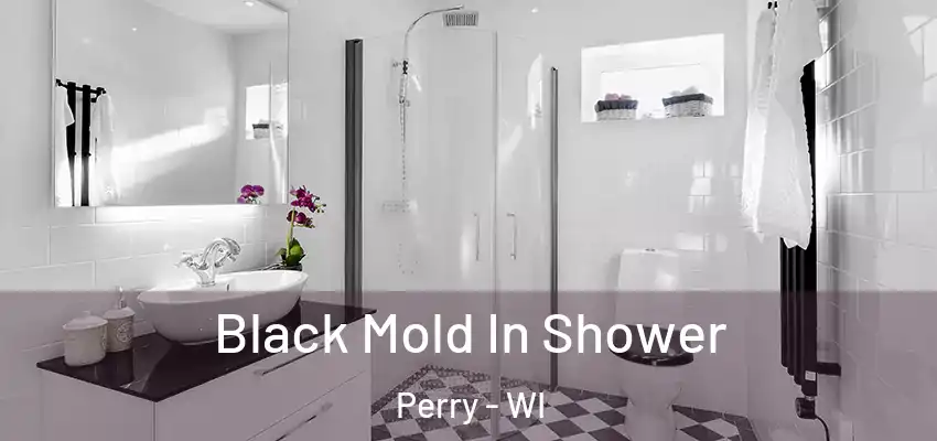  Black Mold In Shower Perry - WI