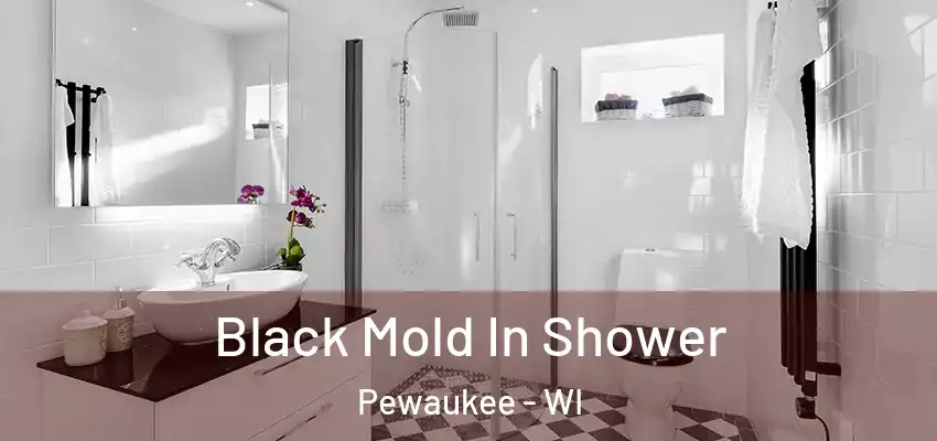  Black Mold In Shower Pewaukee - WI