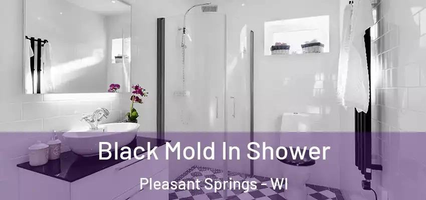  Black Mold In Shower Pleasant Springs - WI