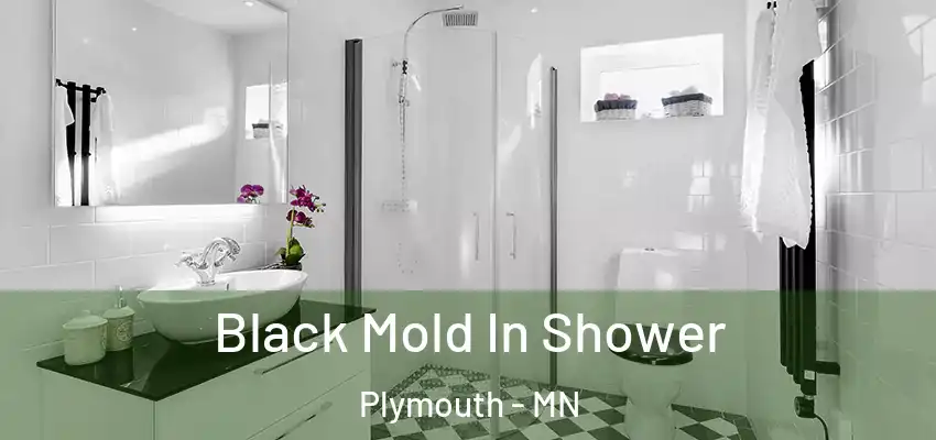  Black Mold In Shower Plymouth - MN