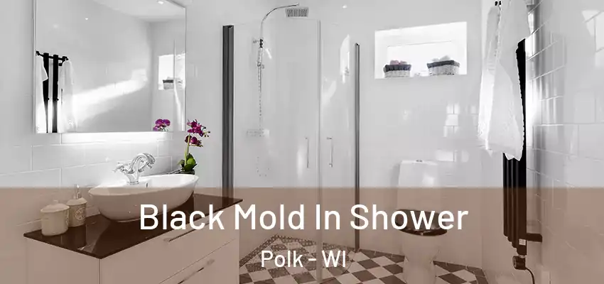  Black Mold In Shower Polk - WI