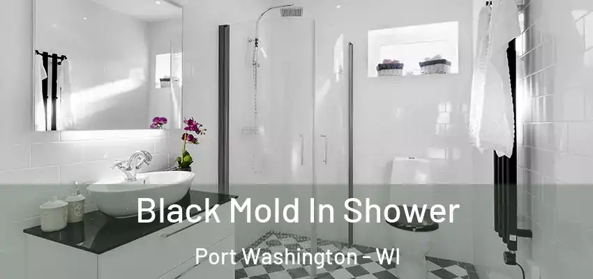  Black Mold In Shower Port Washington - WI