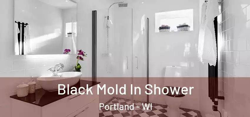  Black Mold In Shower Portland - WI