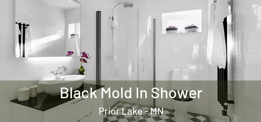  Black Mold In Shower Prior Lake - MN