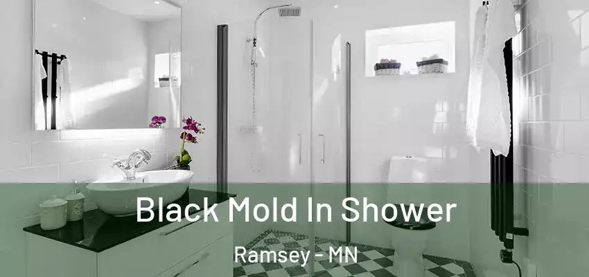  Black Mold In Shower Ramsey - MN