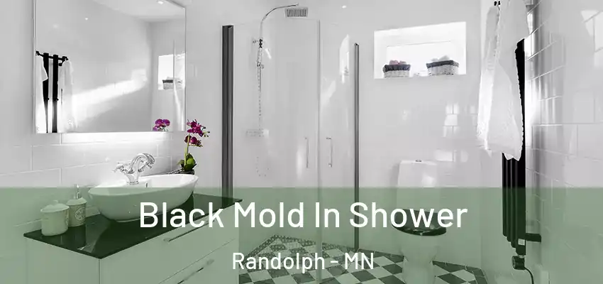  Black Mold In Shower Randolph - MN