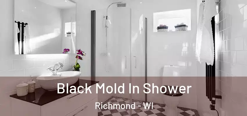 Black Mold In Shower Richmond - WI