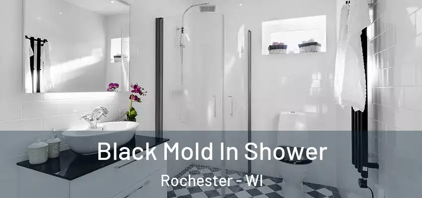  Black Mold In Shower Rochester - WI