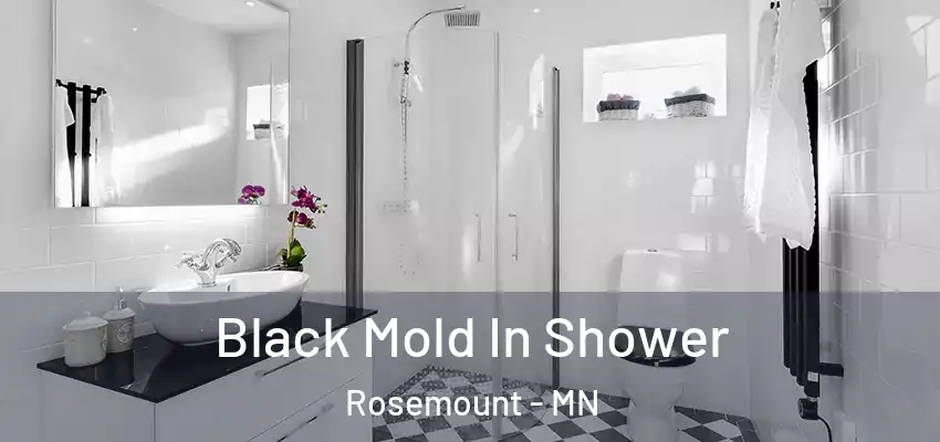  Black Mold In Shower Rosemount - MN