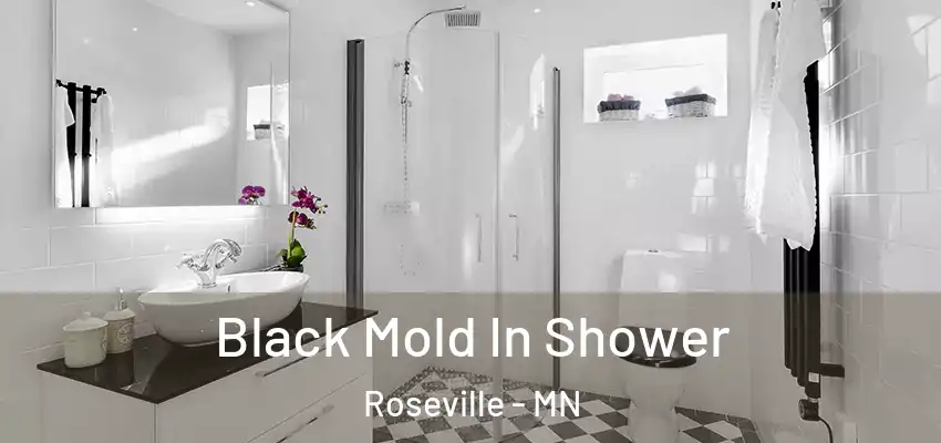  Black Mold In Shower Roseville - MN