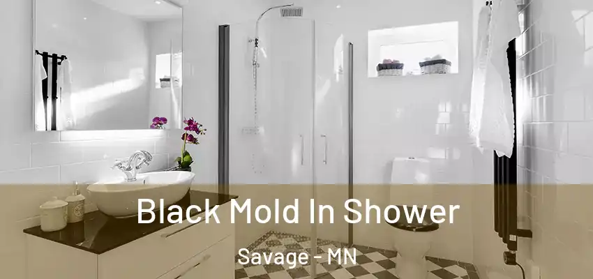  Black Mold In Shower Savage - MN