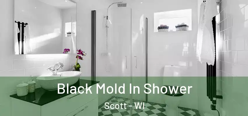 Black Mold In Shower Scott - WI
