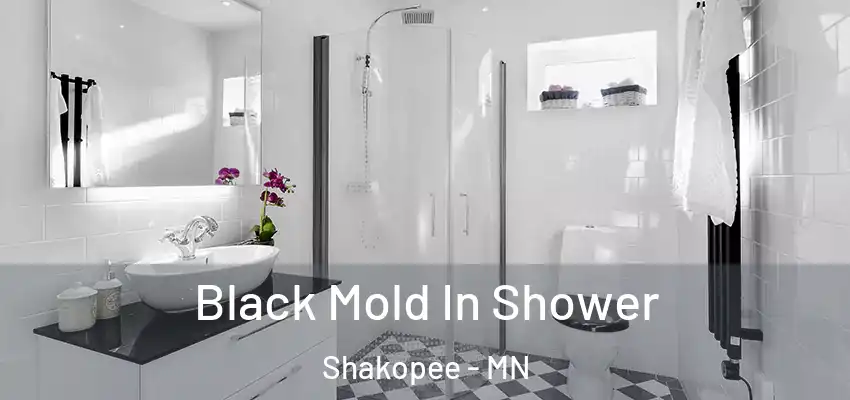  Black Mold In Shower Shakopee - MN