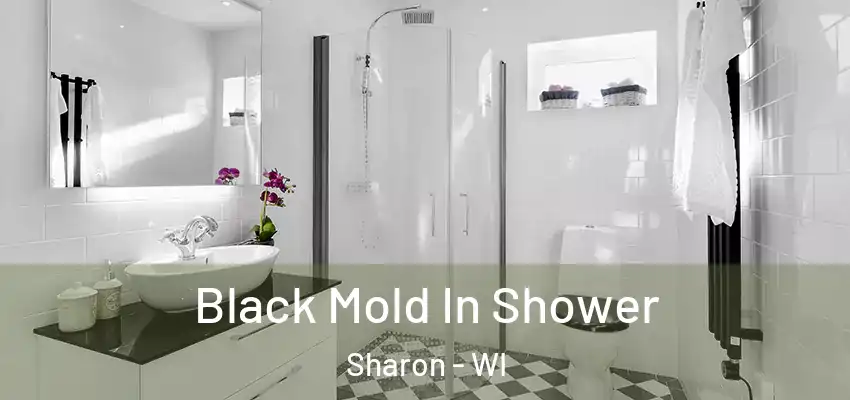  Black Mold In Shower Sharon - WI