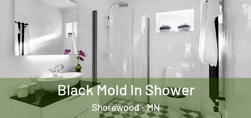  Black Mold In Shower Shorewood - MN