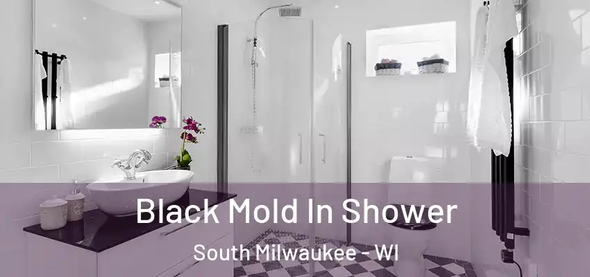  Black Mold In Shower South Milwaukee - WI