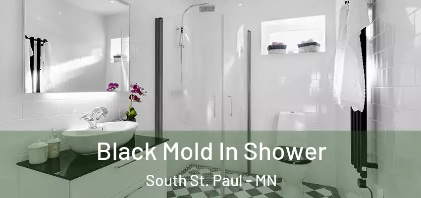  Black Mold In Shower South St. Paul - MN