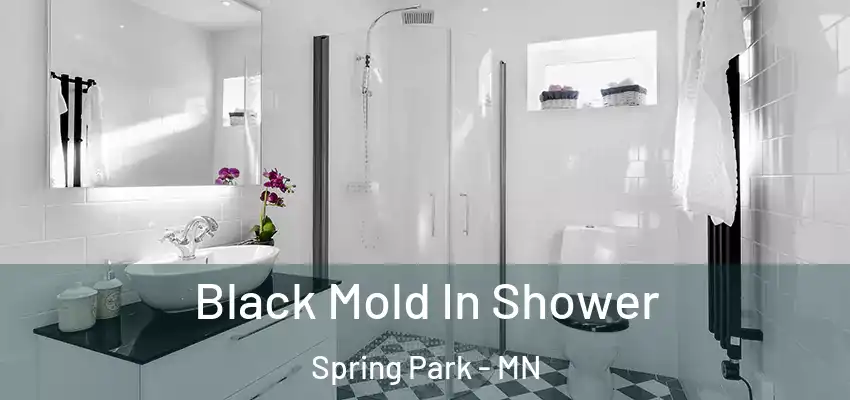  Black Mold In Shower Spring Park - MN