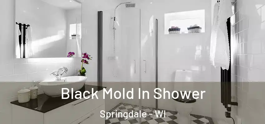  Black Mold In Shower Springdale - WI