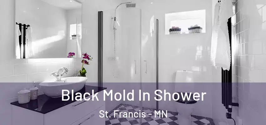  Black Mold In Shower St. Francis - MN