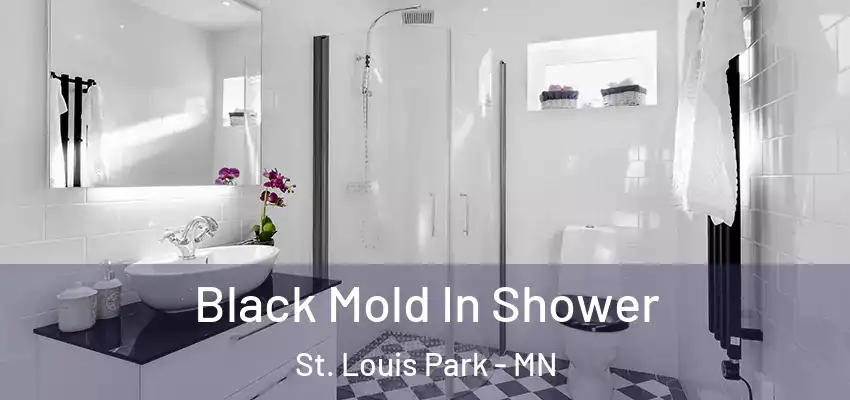  Black Mold In Shower St. Louis Park - MN