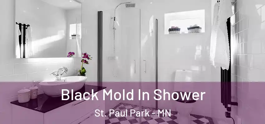  Black Mold In Shower St. Paul Park - MN