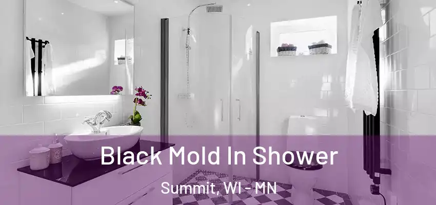  Black Mold In Shower Summit, WI - MN