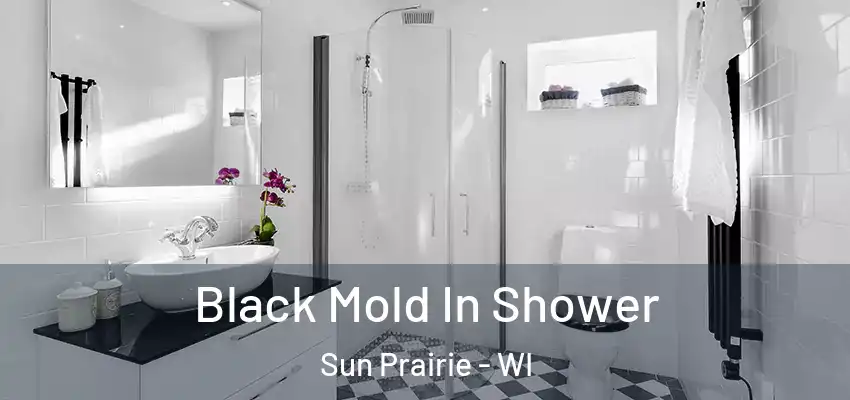  Black Mold In Shower Sun Prairie - WI