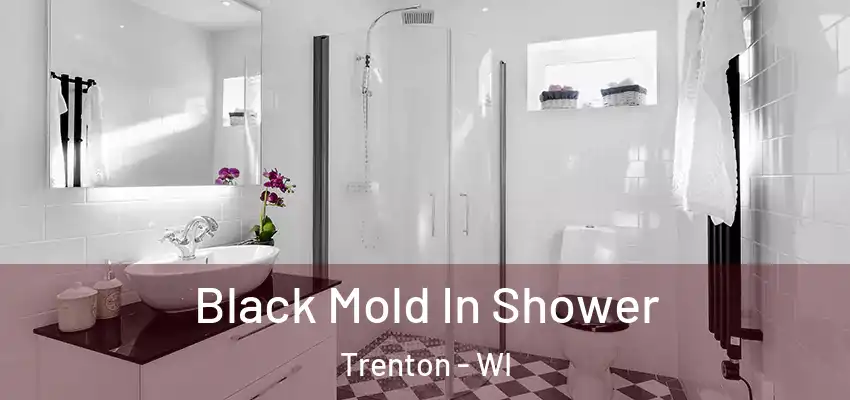  Black Mold In Shower Trenton - WI