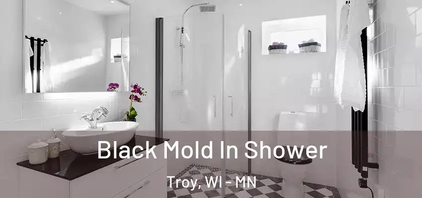  Black Mold In Shower Troy, WI - MN