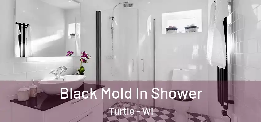  Black Mold In Shower Turtle - WI