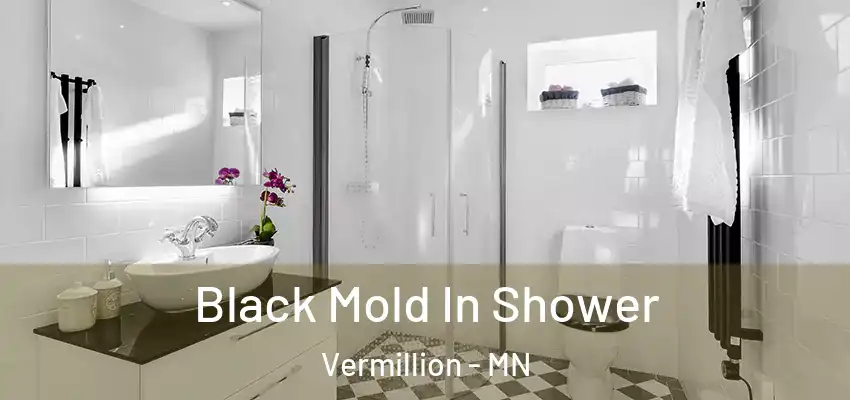  Black Mold In Shower Vermillion - MN