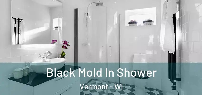  Black Mold In Shower Vermont - WI