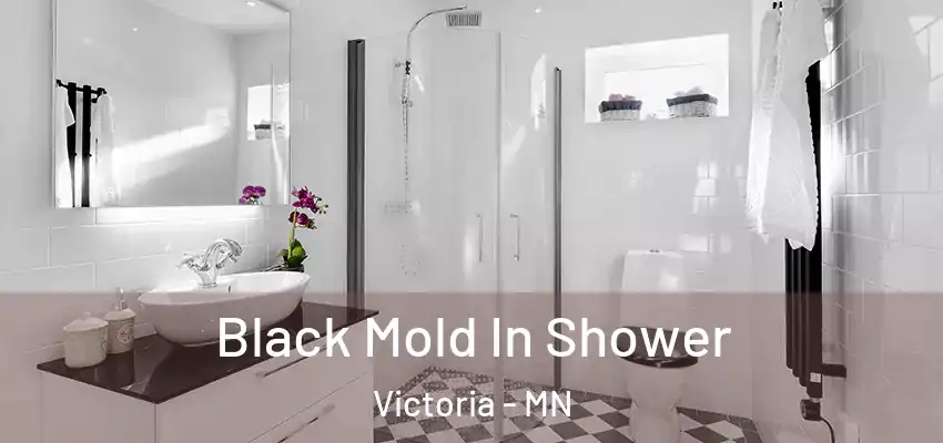  Black Mold In Shower Victoria - MN