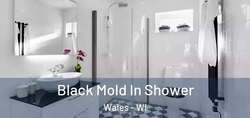  Black Mold In Shower Wales - WI