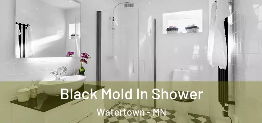  Black Mold In Shower Watertown - MN