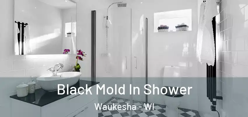  Black Mold In Shower Waukesha - WI