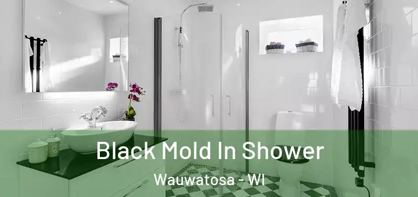  Black Mold In Shower Wauwatosa - WI