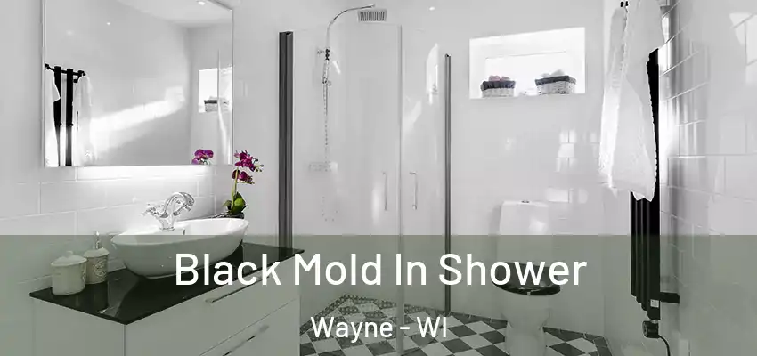  Black Mold In Shower Wayne - WI