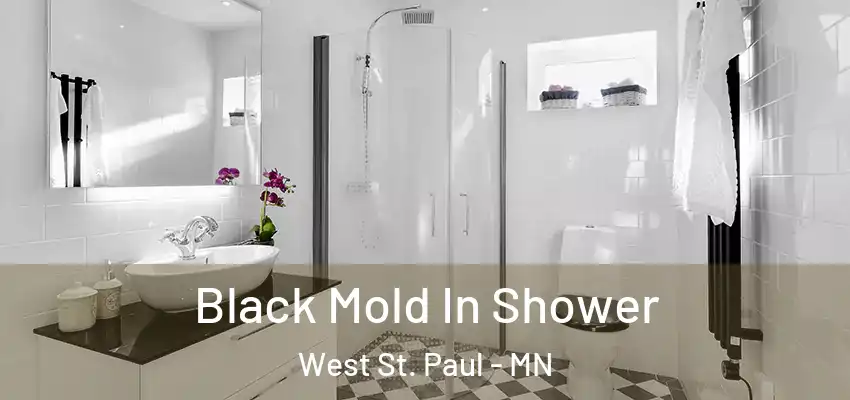  Black Mold In Shower West St. Paul - MN