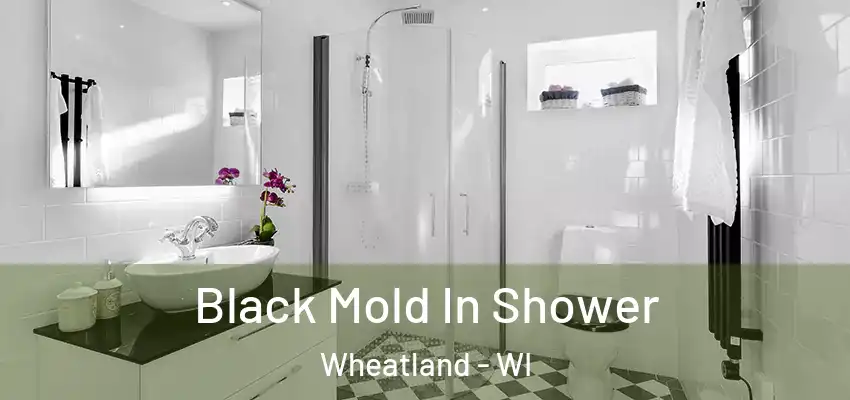  Black Mold In Shower Wheatland - WI