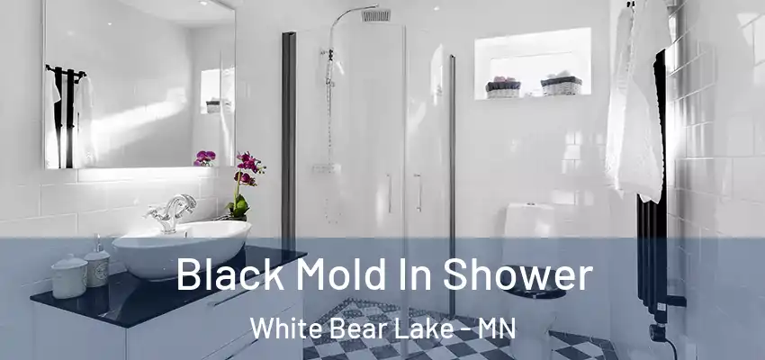  Black Mold In Shower White Bear Lake - MN